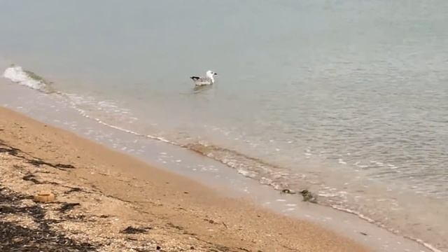 ПОСЛЕДНИЕ ДНИ ЛЕТА ☀ LAST DAYS OF SUMMER смотреть онлайн
