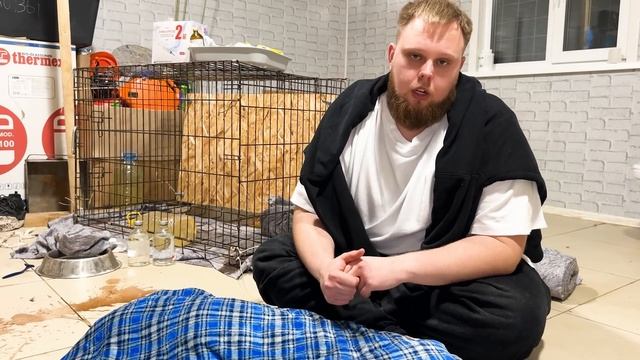 Уссури ОСТАВИЛА НАС! Леопард не справилась с ОТГОЛОСКАМИ ПРОШЛОЙ ЖИЗНИ! Мы В ШОКЕ! ? смотреть онлайн