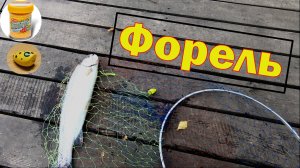 Форель. Ловля форели на ПОПЛА - ПОППЕР. Открытие сезона по ловле форели.