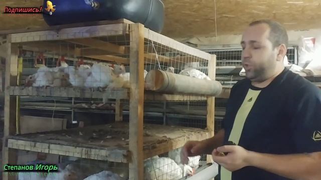 Бройлеры Размеры Клеток Как Самому Сделать Клетку для Бройлеров смотреть онлайн