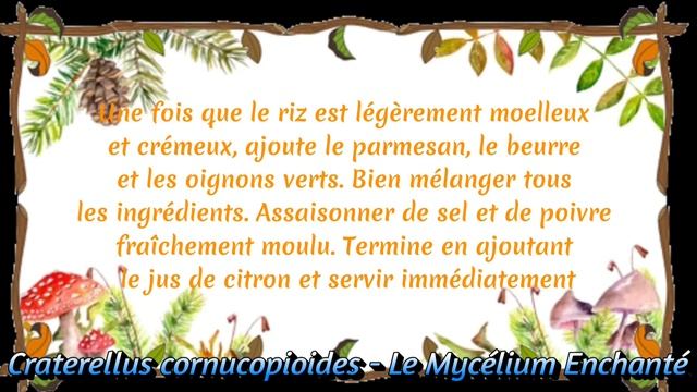 Corne D'abondance 