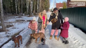 №26. Секрет породы. Тайский риджбек