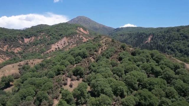 Кыргызское село, где запрещены собаки и козы смотреть онлайн