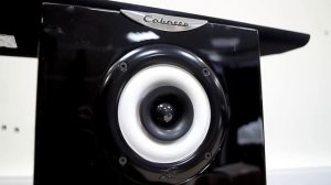 Аудиофильские проигрыватели винила AVID и беспроводная система Cabasse Stream