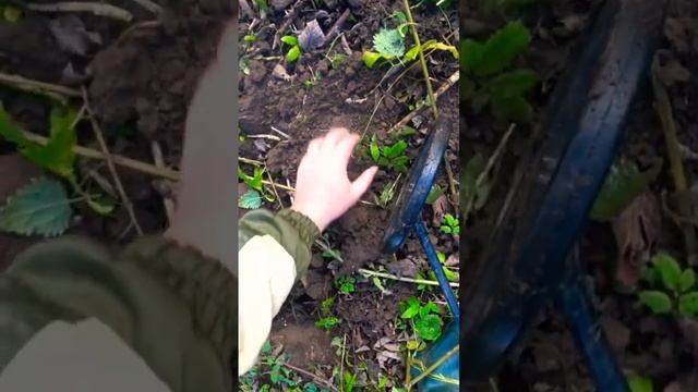 Копейку серебром нашёл металлоискателем возле ручья. #коп2023 #поискмонет #металлоискатель смотреть онлайн