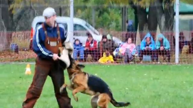 Зоненвельт Аэлита фактор смотреть онлайн