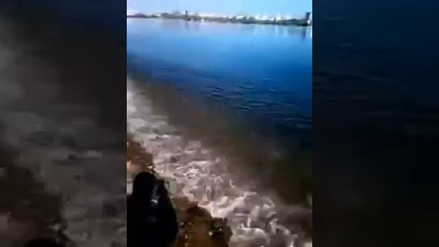 Видео. На реке Обь. Новосибирск . смотреть онлайн