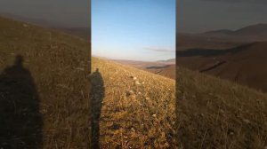 Видишь там на горе возвышается крест... (Прогулки по воде)