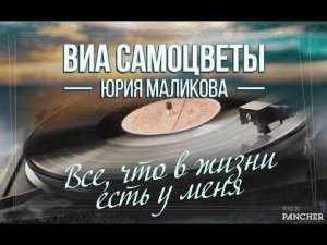 ВИА "Самоцветы" - Всё, что в жизни есть у меня (Official Audio)