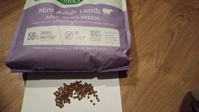 Корм для собак Nature's Protection Adult Mini Lamb. ОБЗОР с ОЦЕНКОЙ от ЙОРИКА. 4К UHD смотреть онлайн