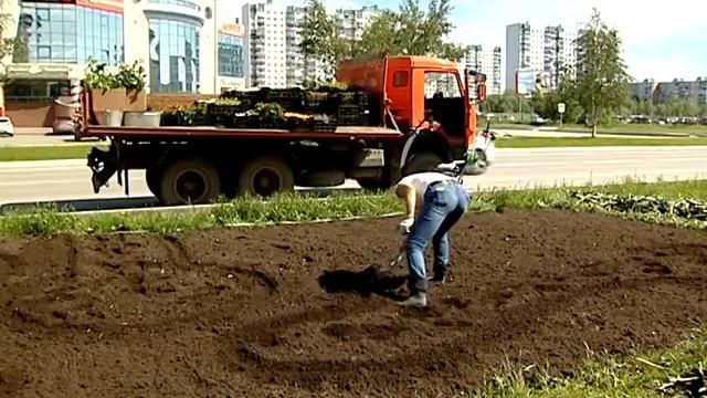 Агрономы пишут живые картины смотреть онлайн