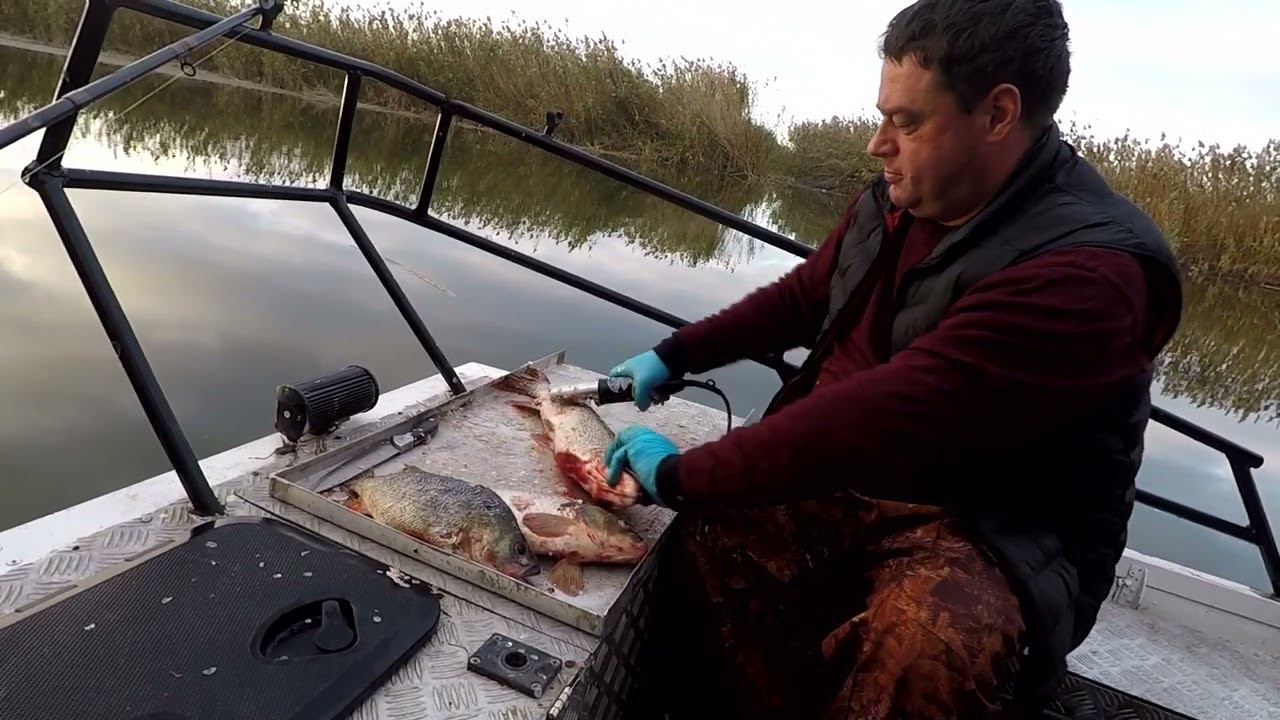 теперь окуня можно и не отпускать смотреть онлайн