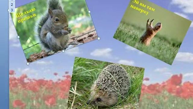 Microsoft Office Power Point 2007 3й видеоурок.mp4