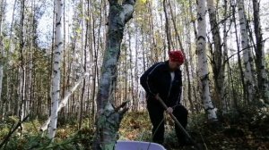 Всё наготовила и ушла с топором.