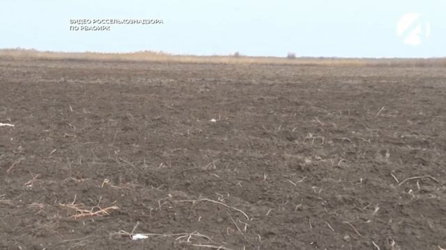 Рейды на сельскохозяйственных угодьях смотреть онлайн