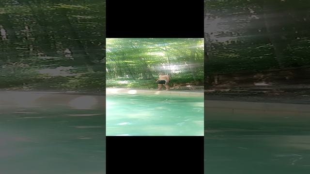 Погружение под воду смотреть онлайн