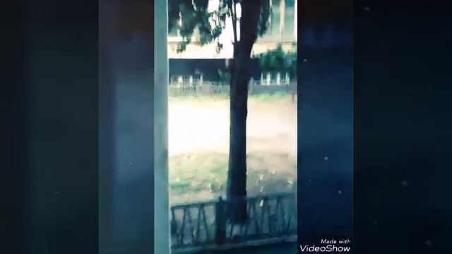 У нас грат цунами урагам!!!что делать? смотреть онлайн
