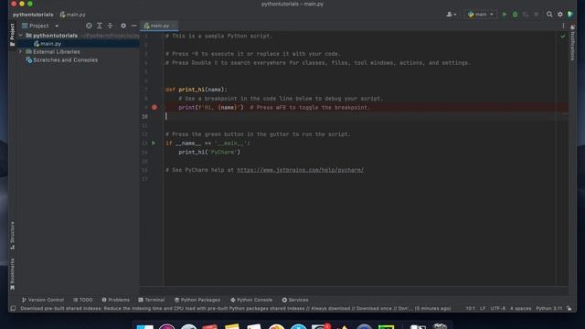 3. Writing Your First Python Script: A Beginner's Guide #howto смотреть онлайн