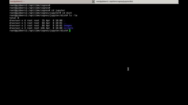 Cognos Notebooks install - Part 1 (Fresh install of Jupyter Server) смотреть онлайн