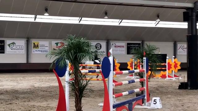 7 year old Cornet смотреть онлайн