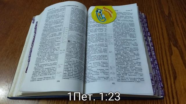 Сила в Слове Божьем (13.12.21) смотреть онлайн