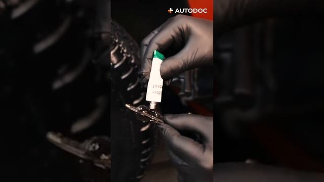 Ремонт колеса в дороге | AUTODOC #summerwithautodocs смотреть онлайн