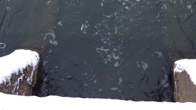 Судачек на реке Сал смотреть онлайн