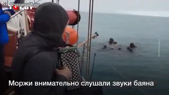 26 ноября 2020 г. смотреть онлайн