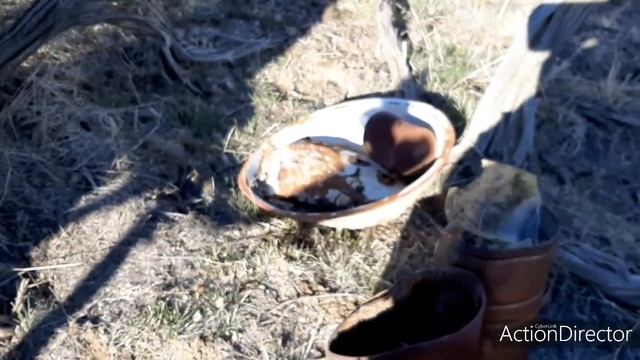 Metal Detecting with Whites MX7 detector, found some old Tins! смотреть онлайн