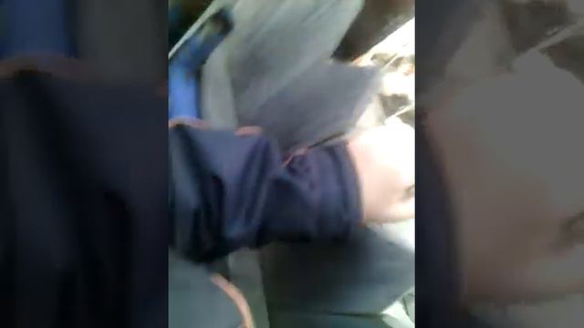 Борьба котов за самку! смотреть онлайн
