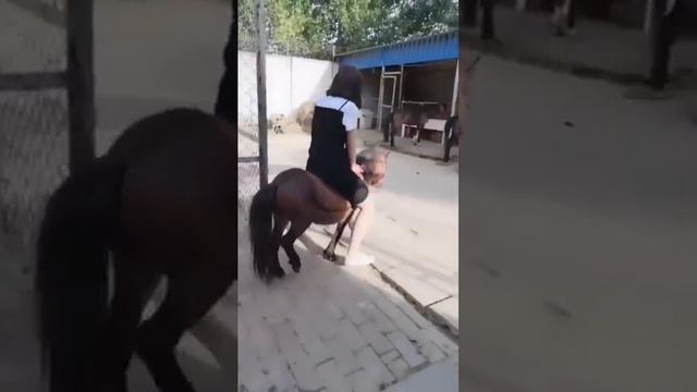 Got a pony from animal shelter смотреть онлайн