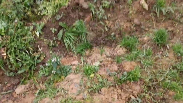 Куда пропал? почему не снимаю видео.