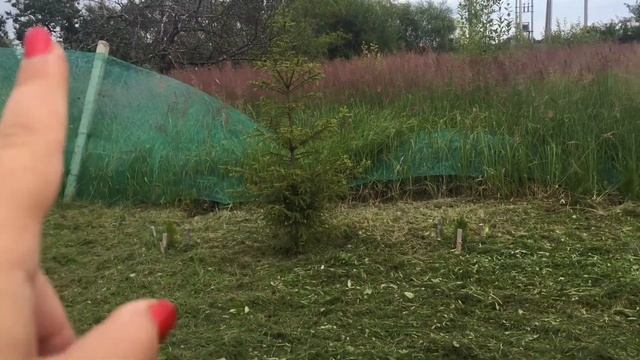 Наша дача/нашествие ,на нас напали/вспомнили детство/дачные посиделки смотреть онлайн
