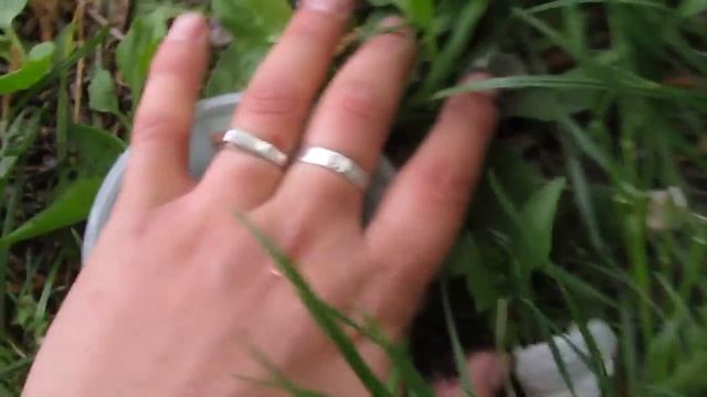 Как улучшить клев рыбы на рыбалке смотреть онлайн