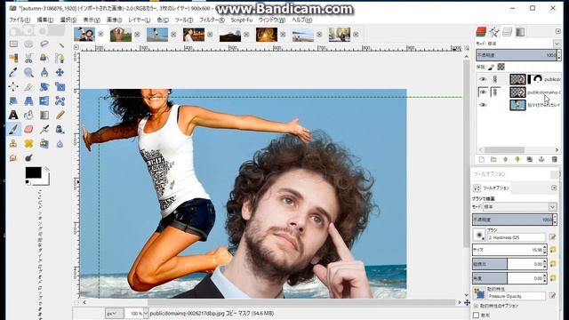 GIMP2.8　 レイヤーモード乗算の特性を利用した、精度の高い髪の毛切り取り方法 смотреть онлайн