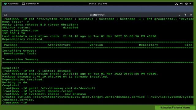 Setup Quick DNS Server On Rocky Linux 8.5 Using Dnsmasq смотреть онлайн