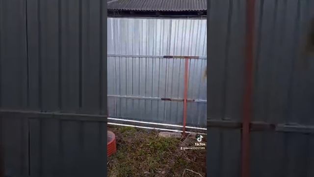 Уборка, дарящая гармонию