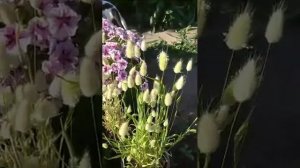 Цветы на срез от Любови