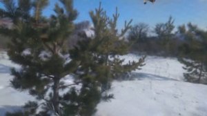 Редкий реполов попался, ловля с запахом весны.mp4