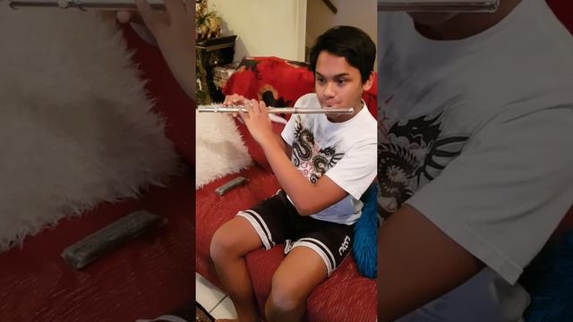 IDGAF(flute cover) by Dua Lipa смотреть онлайн