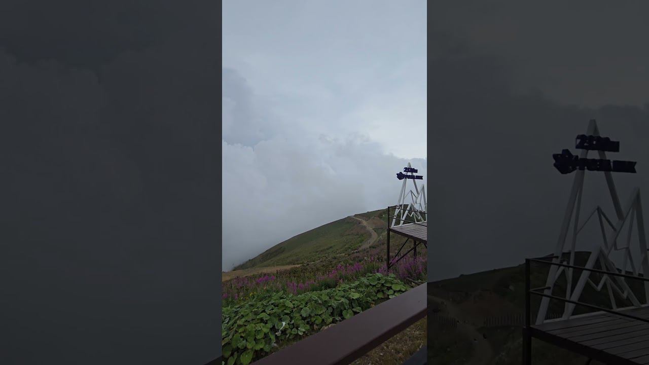 Роза Пик 2320м #2024 #mountains смотреть онлайн