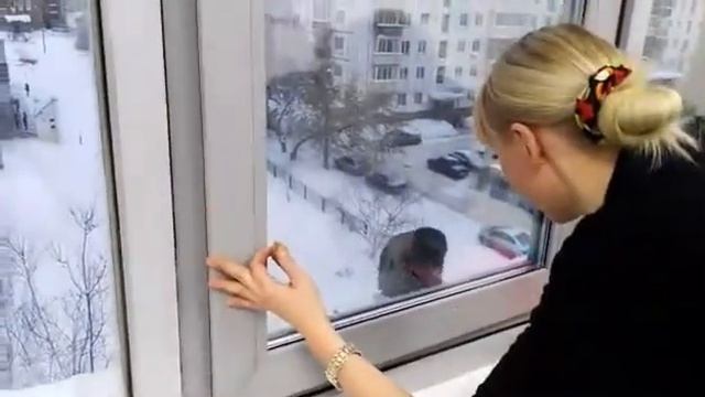 Не впускайте ворон в дом,они воруют чайные ложки! ))) смотреть онлайн