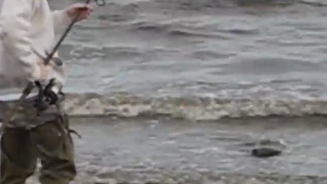 Striped Bass - Perth Amboy, NJ смотреть онлайн