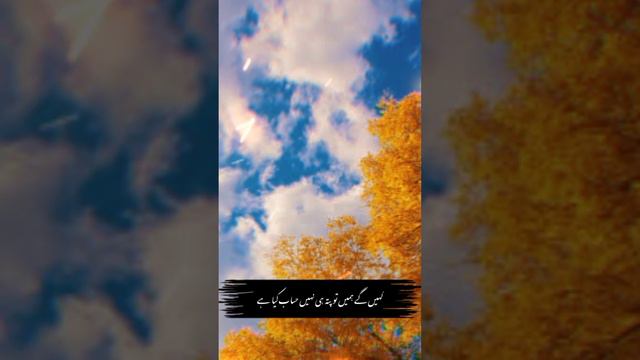 mery nabi pak ny farmaya #allah #islamic #vairalvideo #hazartmuhammad смотреть онлайн