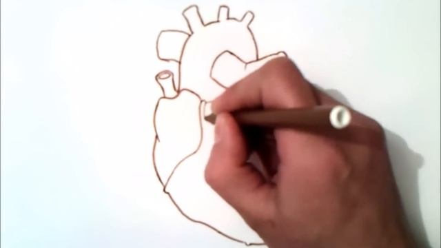 come disegnare un cuore vero смотреть онлайн