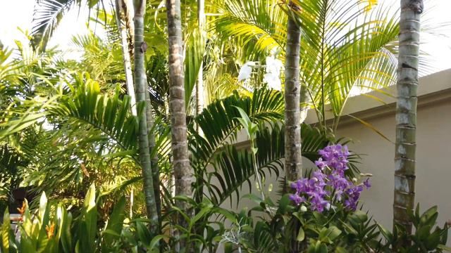 DEWA PHUKET RESORT & VILLAS #phuket #hotelreview #resortreview