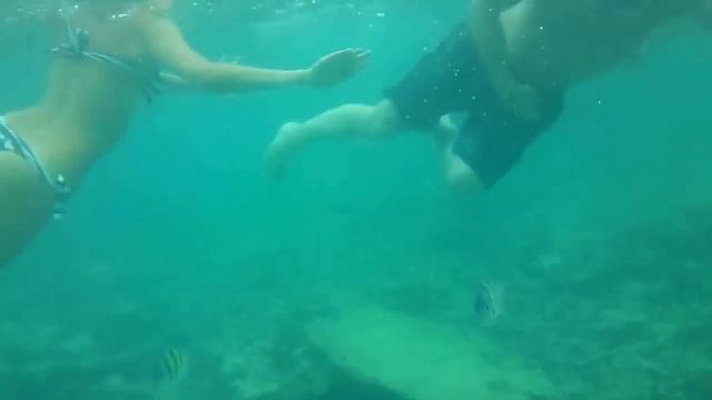 Снорклинг. Mosquito island. Пхи Пхи Phi Phi смотреть онлайн