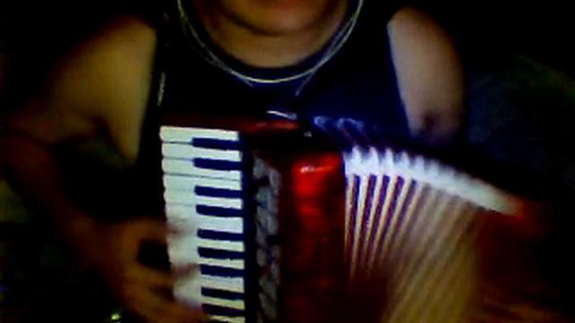 Freaks - Timmy trumpet & Savage - accordion cover смотреть онлайн