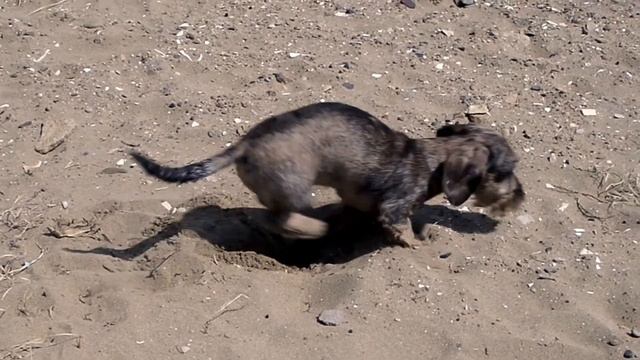 Дунька Приморская. смотреть онлайн