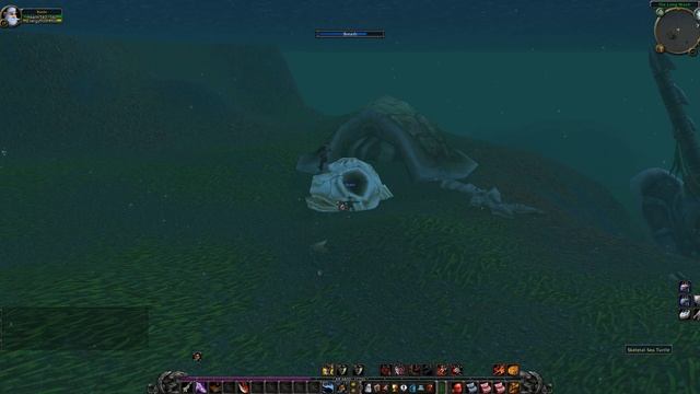 Washed Ashore (Sea Turtle Remains) WoW Classic Quest смотреть онлайн